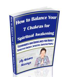 SpiritualAwakeningBook3d